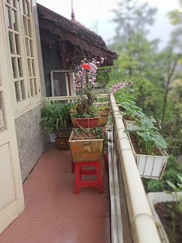 Bed & Breakfast Hoang Long Hotel