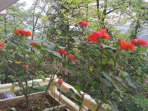 Bed & Breakfast Hoang Long Hotel