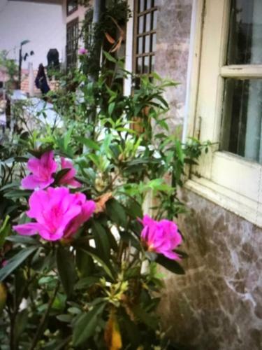 Bed & Breakfast Hoang Long Hotel