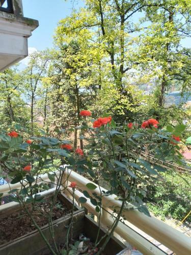 Bed & Breakfast Hoang Long Hotel