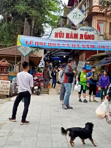 Bed & Breakfast Hoang Long Hotel