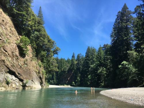 Glamping In The Redwoods