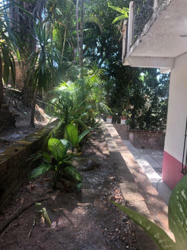 Hostal Habitaciones En Vallarta 6 Cuadras Malecon