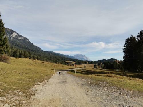 Apartamento Landhaus Marie