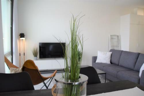 Apartamento City Sarala