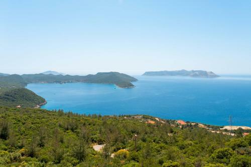Apartamento Golden Rose Otelcilik