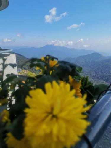 Bed & Breakfast Skyview Amber Court, Genting Highlands