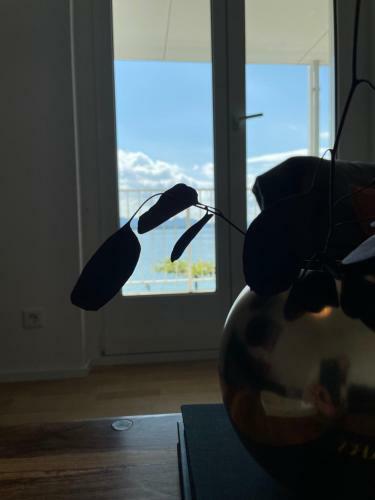 Sunset Apartment Direkt Am Bodensee Mit Parkplatz