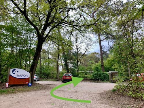 Wilde Moeflon, Geniet Van De Vrije Natuur!