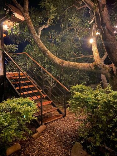 Glamping Entrearboles - Bellavista