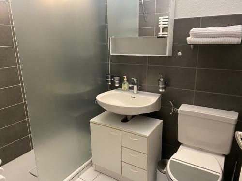 Apartamento Studio Velan 315