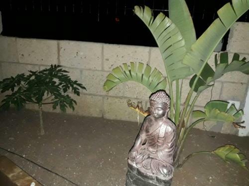 Luxury Villa Atlantico Views