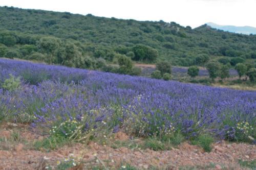 Hostal Hotel Rural Las Abadias