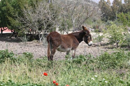 Casa Rural Asiento Del R�o