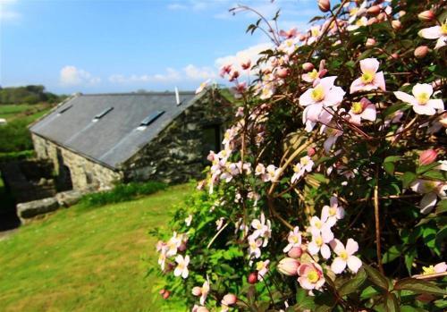 Old Byre Cottage Near Harlech 4060