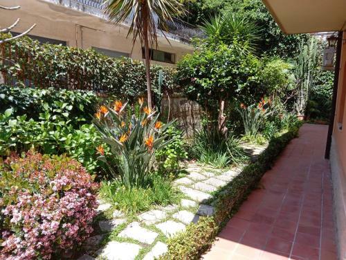 Apartamento Casa Sveva Realax House In Quiet Area