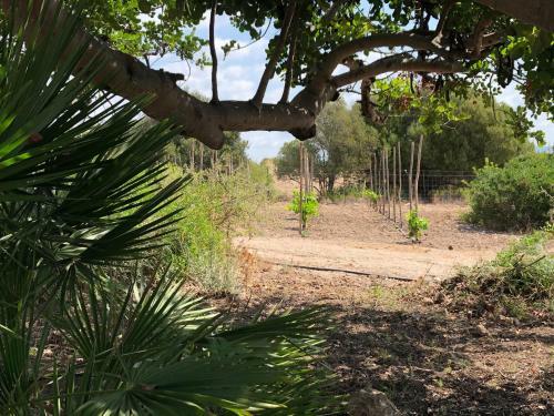 Apartamento Villa Lulu