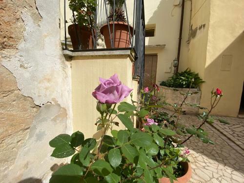 Apartamento Sweet Av� Matino