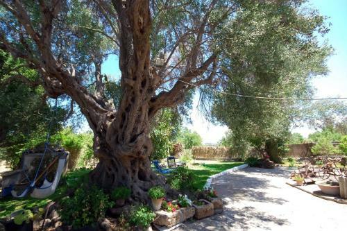 Villa Finca Sa Llegua