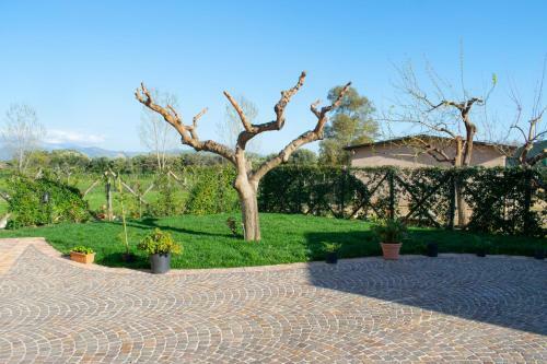 Apartamento Camera Gardenia - B&B Antico Casale