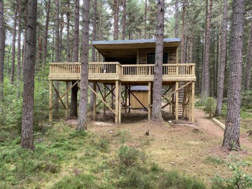 Stunning 1-bed Tree House In Munlochy