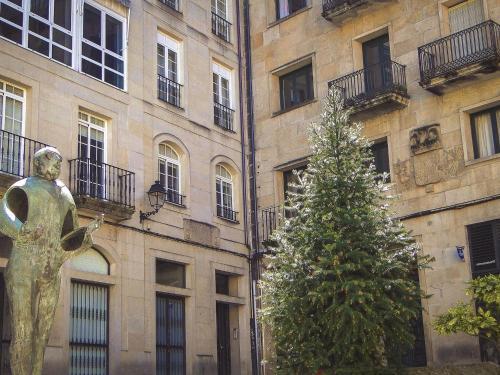 Charming Apartment In Ourense Overlooking The City