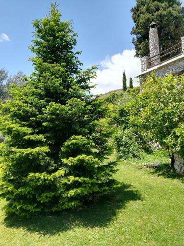 Bancal De Los P�rez