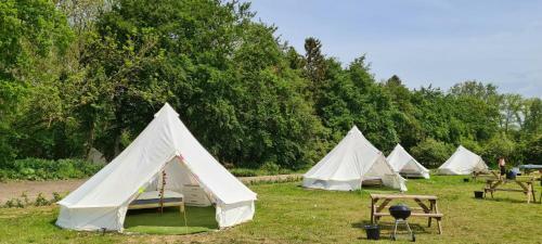 5 Meter Bell Tent - Up To 5 Persons Glamping