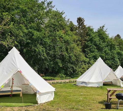 7 Meter Bell Tent - Up To 10 Persons Glamping