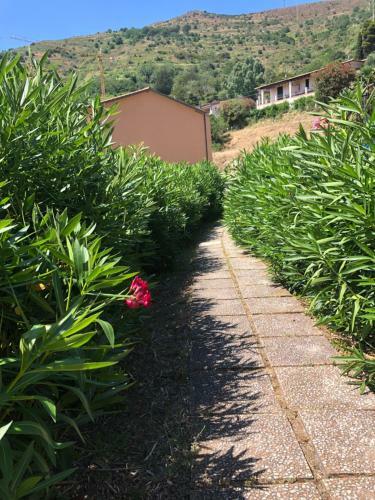 Apartamento Appartamento Con Piscina