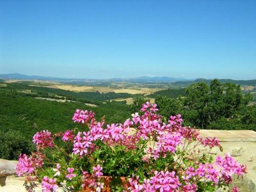 Pleasant Holiday Home In Seggiano With Private Terrace
