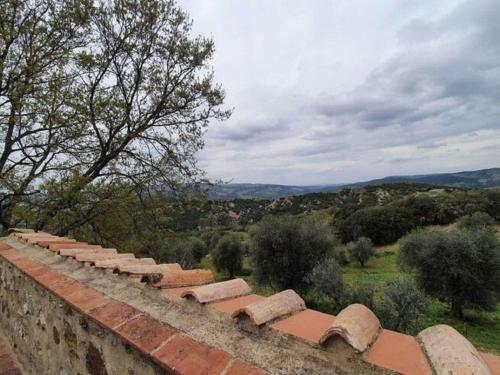 Pleasant Holiday Home In Seggiano With Private Terrace