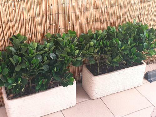 Dimora Montalto,indipendente Con Terrazzo Privato