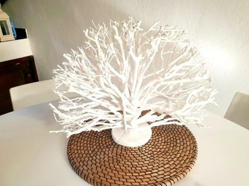 Dimora Montalto,indipendente Con Terrazzo Privato