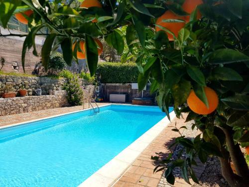 Apartamento Moonlight Country House With Pool