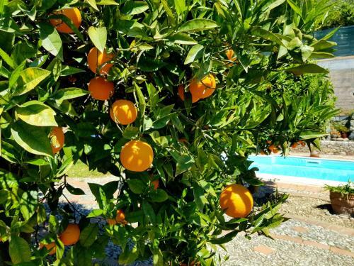 Apartamento Sunlight Country House With Pool