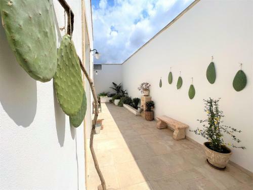Hostal Camere Climatizzate Nuovissime Con Stile Moderno Antico