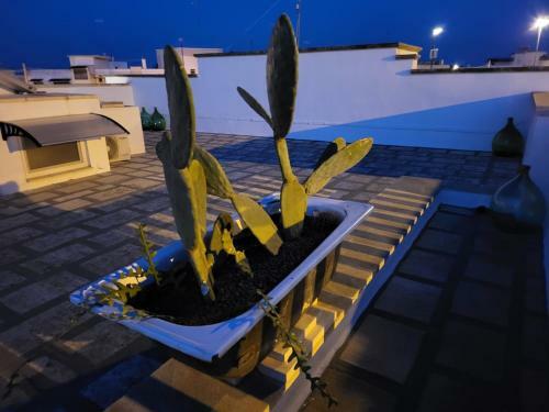 Hostal Camere Climatizzate Nuovissime Con Stile Moderno Antico