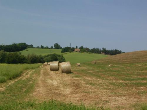 Villa Poggio Al Sole