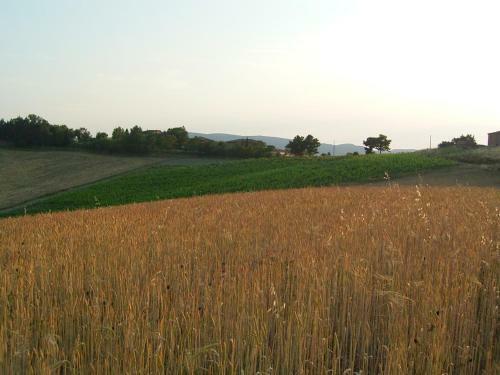 Villa Poggio Al Sole