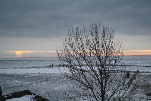 Apartamento Terschelling Natuurlijk