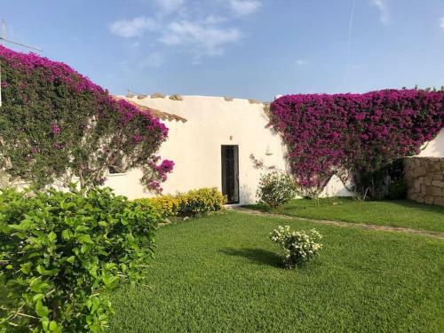 Seaview Apartment In Porto Cervo