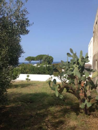 Casa Ippo Stromboli Piscit�