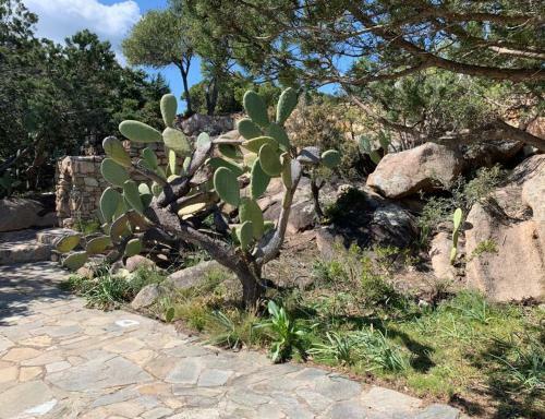 Villa Su Cuile, Cala Ginepro - Vista Mare