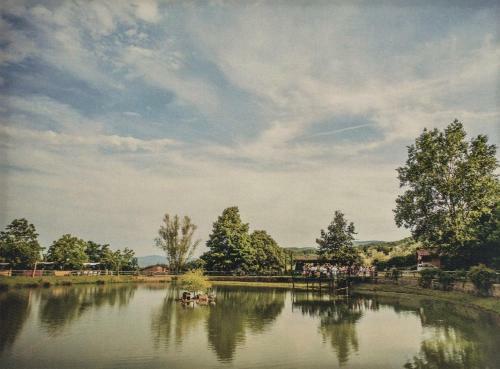 Lake Apartment In Villa Massi