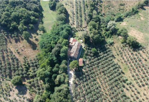 Lake Apartment In Villa Massi