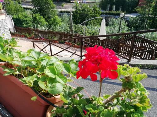 Apartamento La Sorgente Appartamento