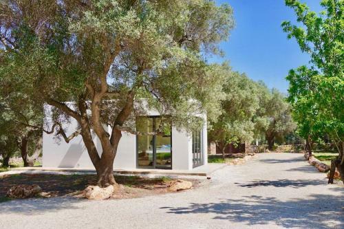 Superb Villa With Private Swimming Pool Near The Beach