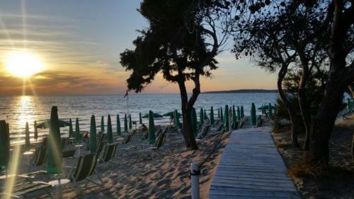 Apartamento Residenza Lido Conchiglie