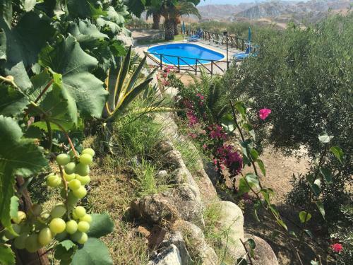 Villa Romeo - Accommodation, Olive Grove & Private Pool
